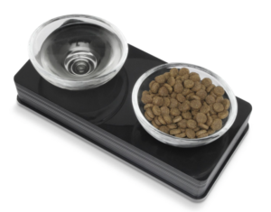 Essential Cat Care: 10 Must-Have Products for Your Feline Friend