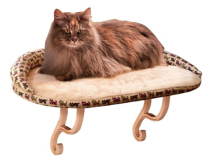 Essential Cat Care: 10 Must-Have Products for Your Feline Friend