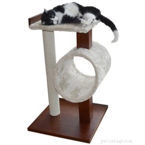 Essential Cat Care: 10 Must-Have Products for Your Feline Friend