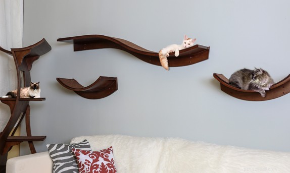 Top Cat Essentials of 2017: Expert-Approved Products for Your Feline