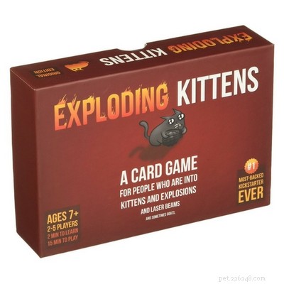 Top Cat Lover Gifts 2017: Curated Gift Guide for Feline Enthusiasts
