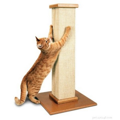 Top Cat Lover Gifts 2017: Curated Gift Guide for Feline Enthusiasts