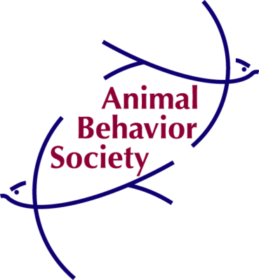 Find the Right Cat Behaviorist Near You: A Trusted Guide