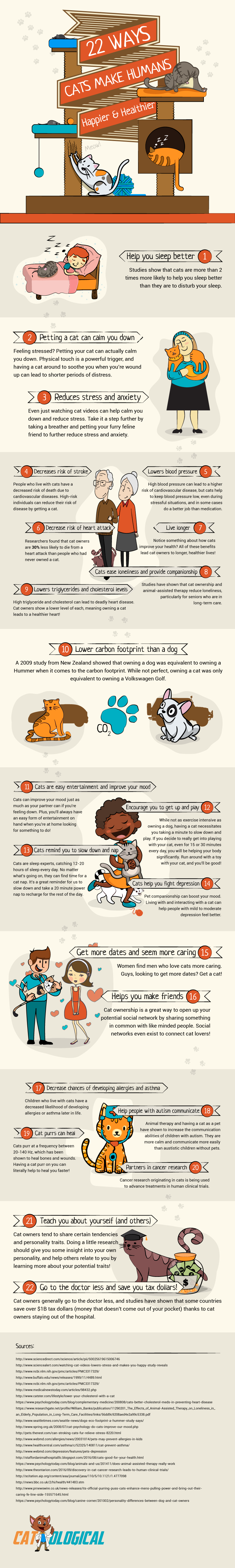 Why Cats Are Essential: 22 Proven Benefits of Owning a Cat