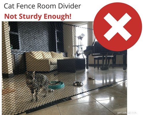 The Great Wall: Safely Separating Cats for Peaceful Coexistence