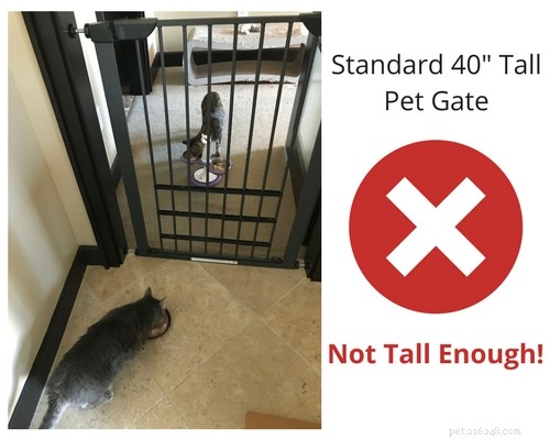 The Great Wall: Safely Separating Cats for Peaceful Coexistence
