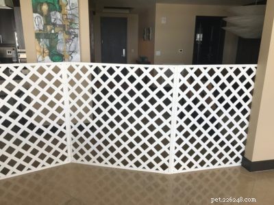 DIY Extra-Large Cat Gate: Ultimate Solution for Aggressive Cats