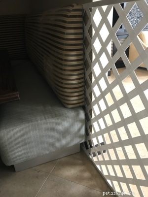 DIY Extra-Large Cat Gate: Ultimate Solution for Aggressive Cats