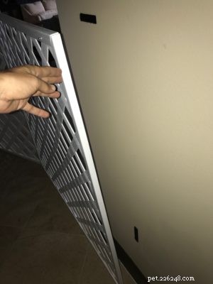 DIY Extra-Large Cat Gate: Ultimate Solution for Aggressive Cats
