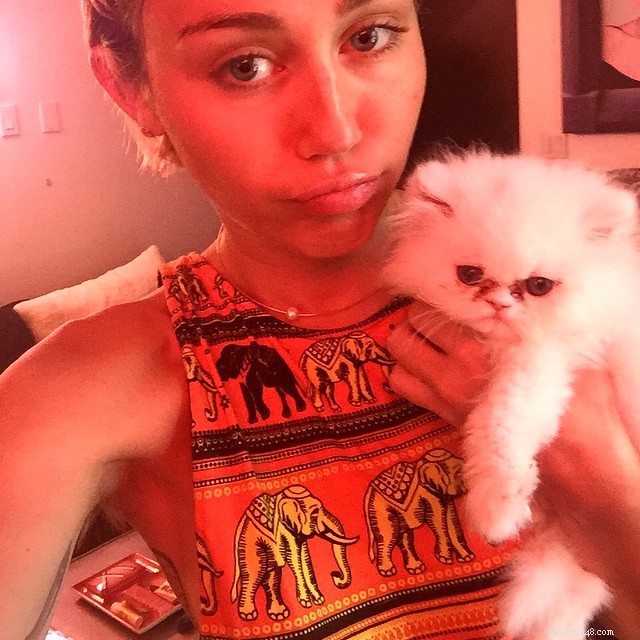 7 Celebrity Cat Lovers and Their Feline Friends