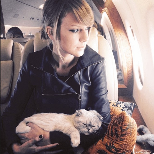 7 Celebrity Cat Lovers and Their Feline Friends