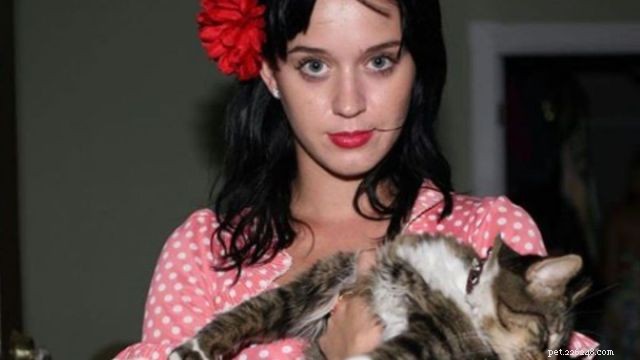 7 Celebrity Cat Lovers and Their Feline Friends