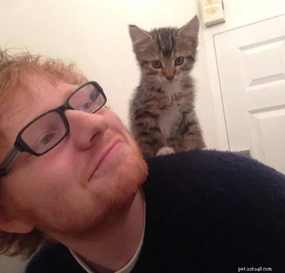 7 Celebrity Cat Lovers and Their Feline Friends