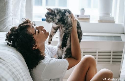 Why Cats Resist Closed Doors: Insights & Practical Solutions