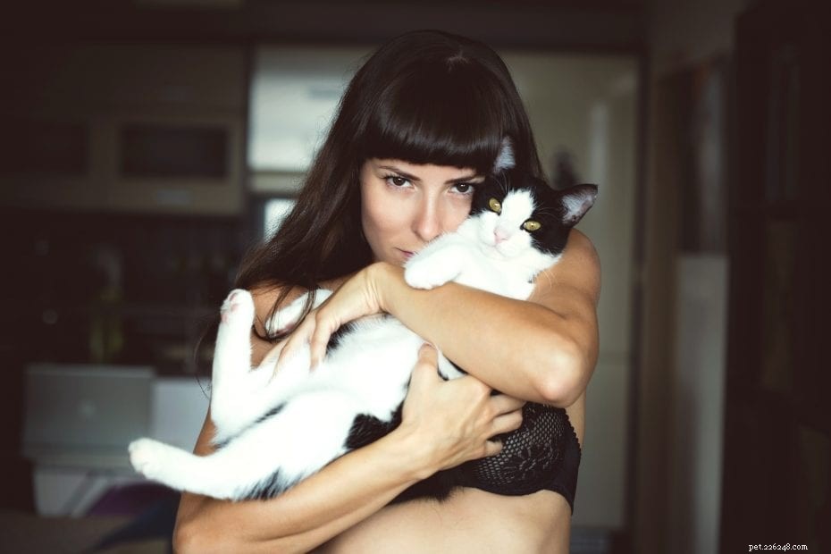 Should You Use Cat Diapers? A Practical Guide for Managing Cat Incontinence