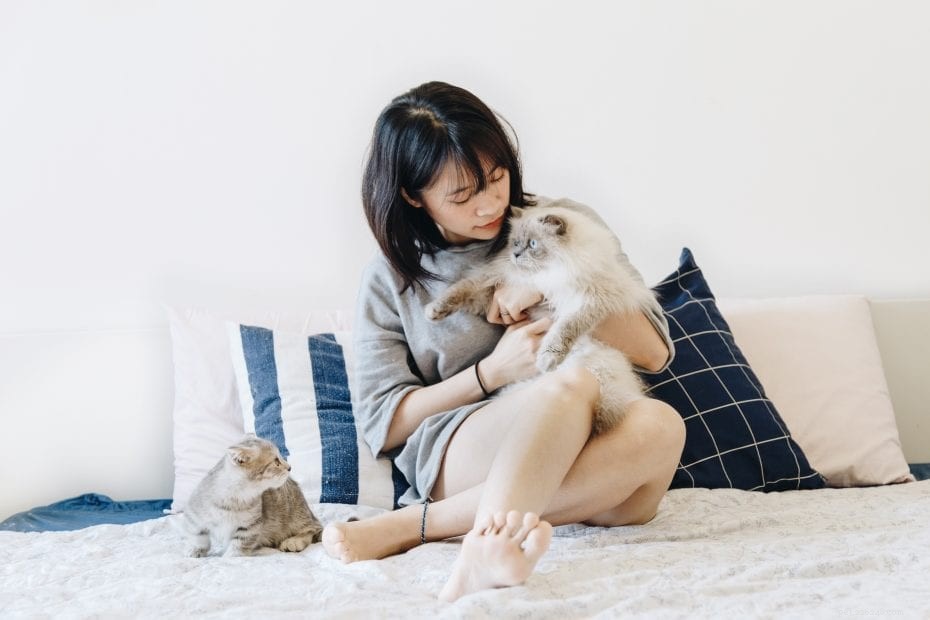 Effective Tips for Removing Cat Urine Stains and Odors from Your Home
