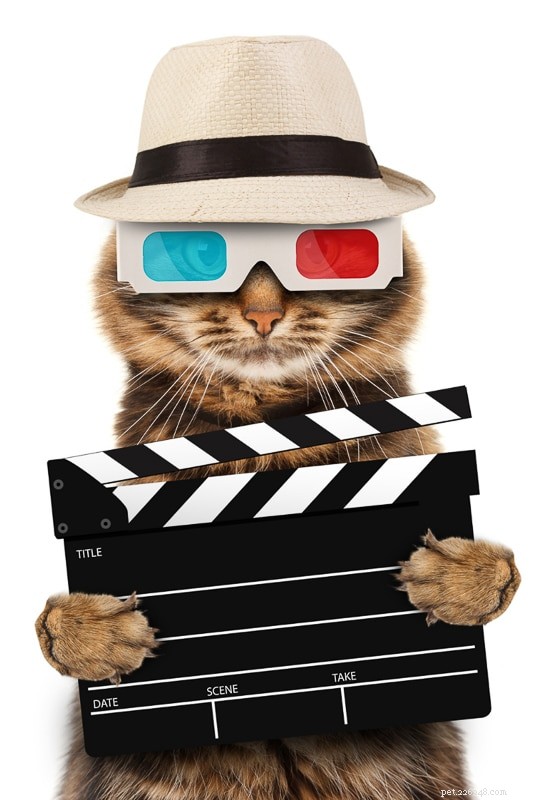 11 Iconic Movie Cat Names Perfect for Your Feline Friend