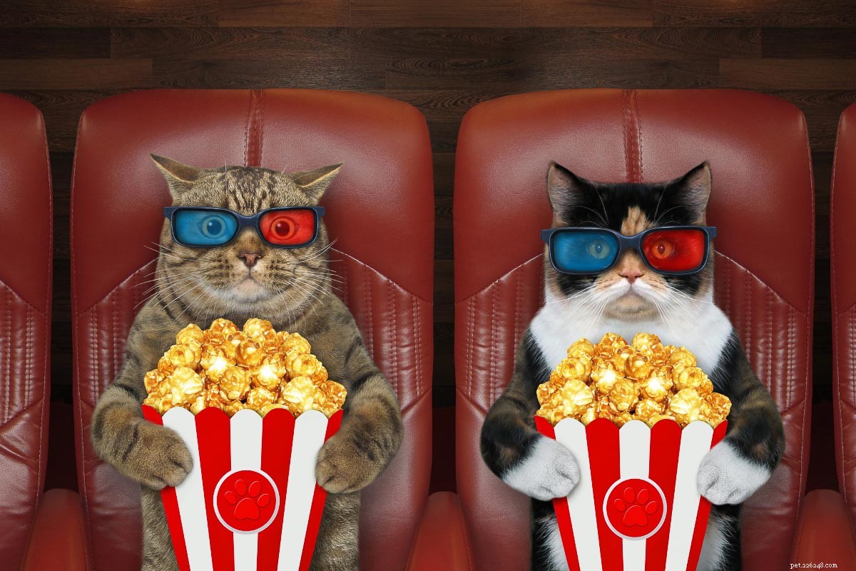 11 Iconic Movie Cat Names Perfect for Your Feline Friend