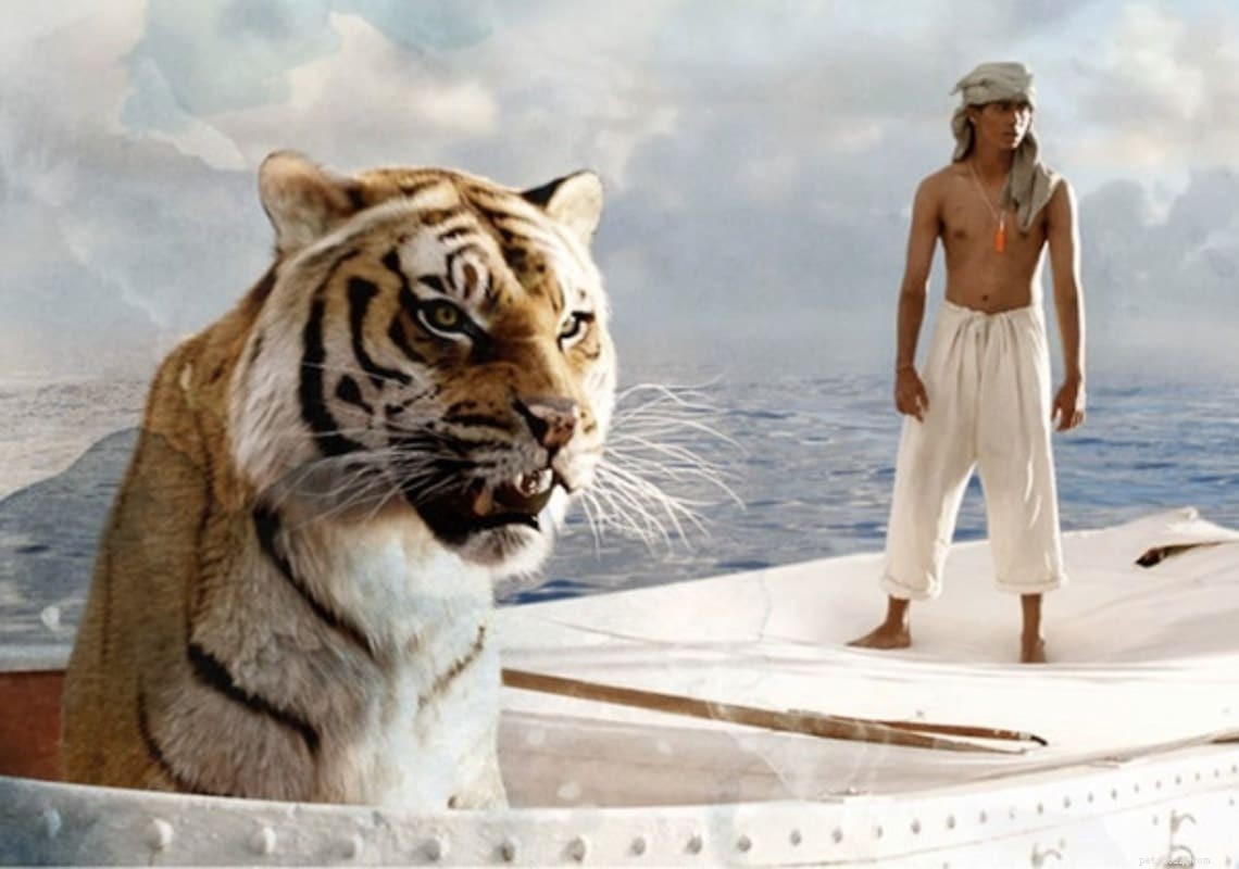 11 Iconic Movie Cat Names Perfect for Your Feline Friend