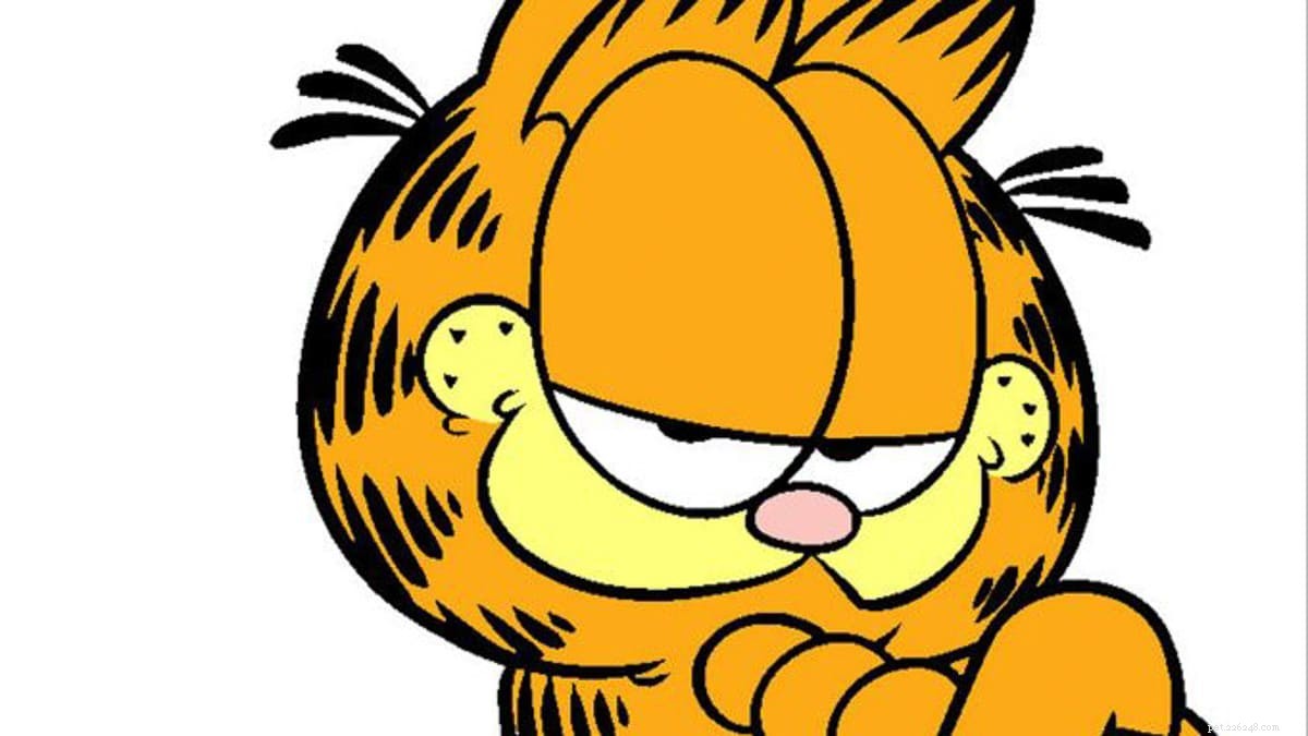 11 Iconic Movie Cat Names Perfect for Your Feline Friend