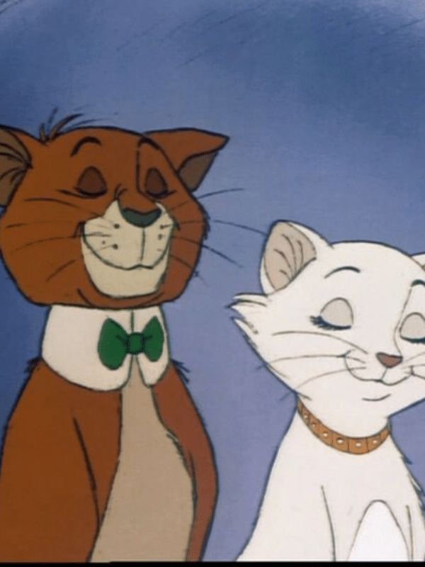 11 Iconic Movie Cat Names Perfect for Your Feline Friend