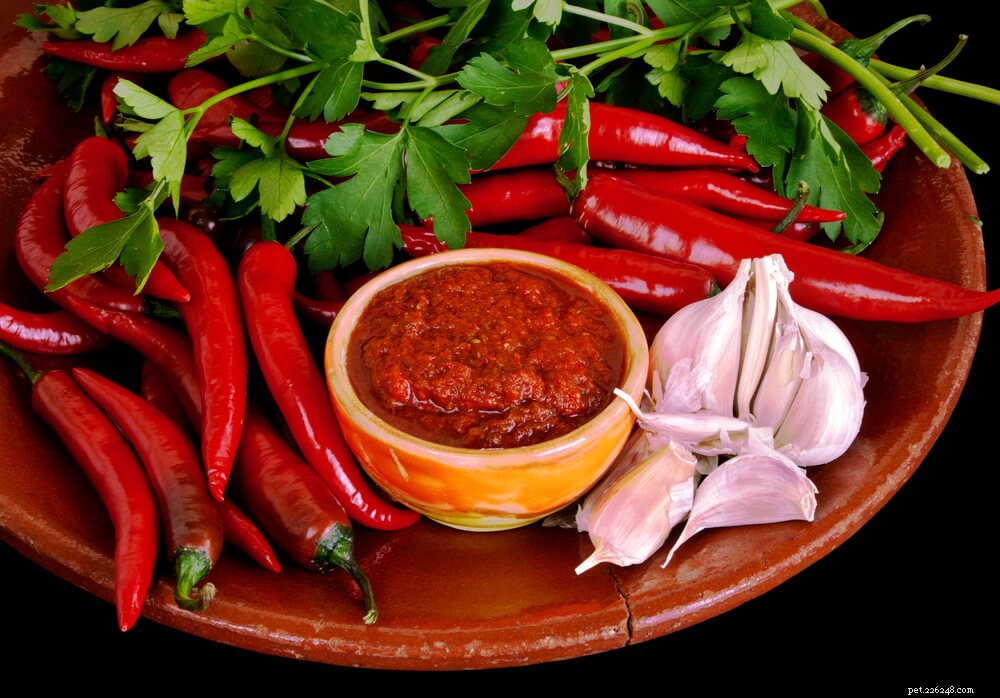 Is Hot Sauce Safe for Cats? Expert Advice on Spicy Foods