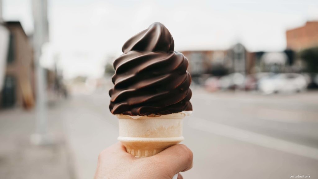 Can Cats Safely Enjoy Ice Cream? Expert Advice