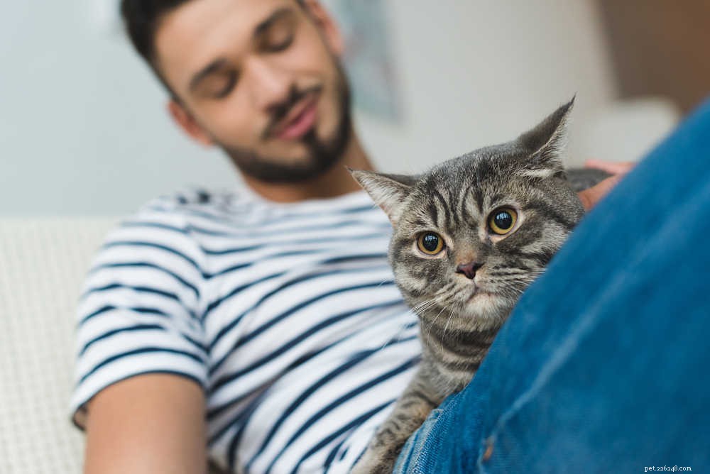 Why Cats Purr: The Science Behind Their Contentment and How to Interpret It