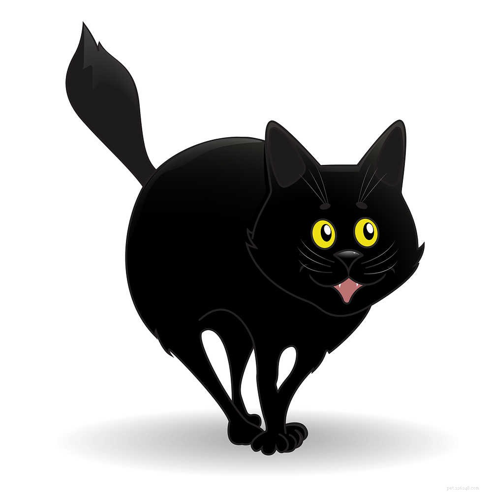 How to Stop Your Cat from Howling at Night – Proven Solutions for Quiet Nights