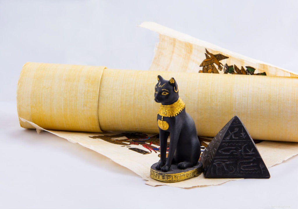 Understanding Why Cats and Dogs Often Clash: A Pet Owner s Guide