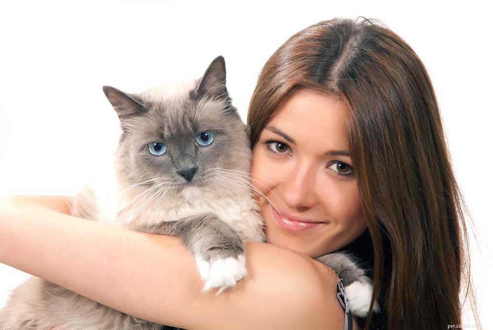 Everything You Need to Know About Ragdoll Cats and Their Kittens