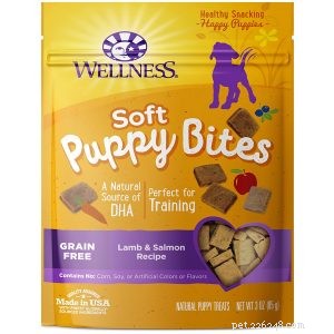 Professional Guide: Safely Clean Your Puppy’s Ears at Home