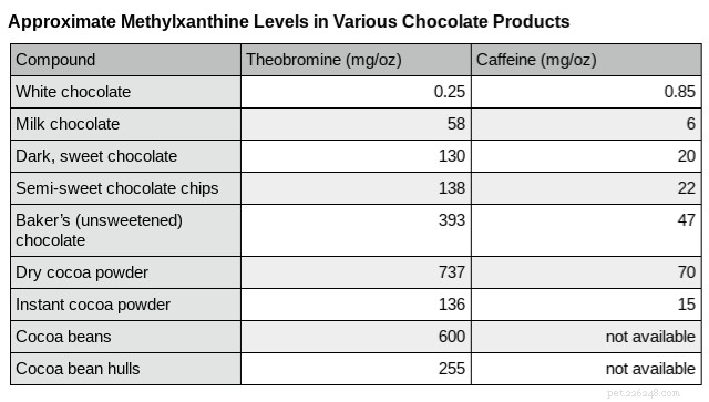 What to Do If Your Dog Eats Chocolate: Symptoms, Risks, and Immediate Action