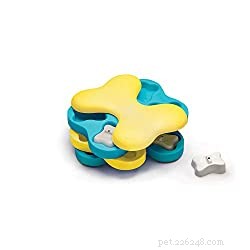 Conquering Separation Anxiety in Dogs: Proven Strategies to Keep Your Furry Friend Calm and Confident
