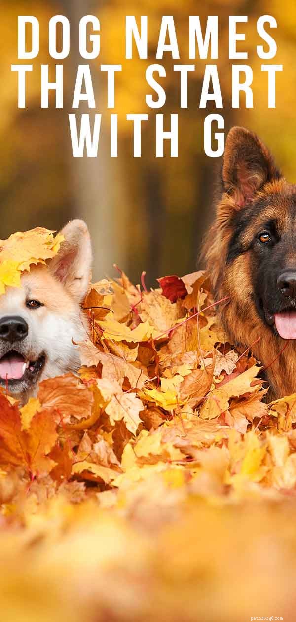 Top G Dog Names: Find the Perfect Name for Your Pup