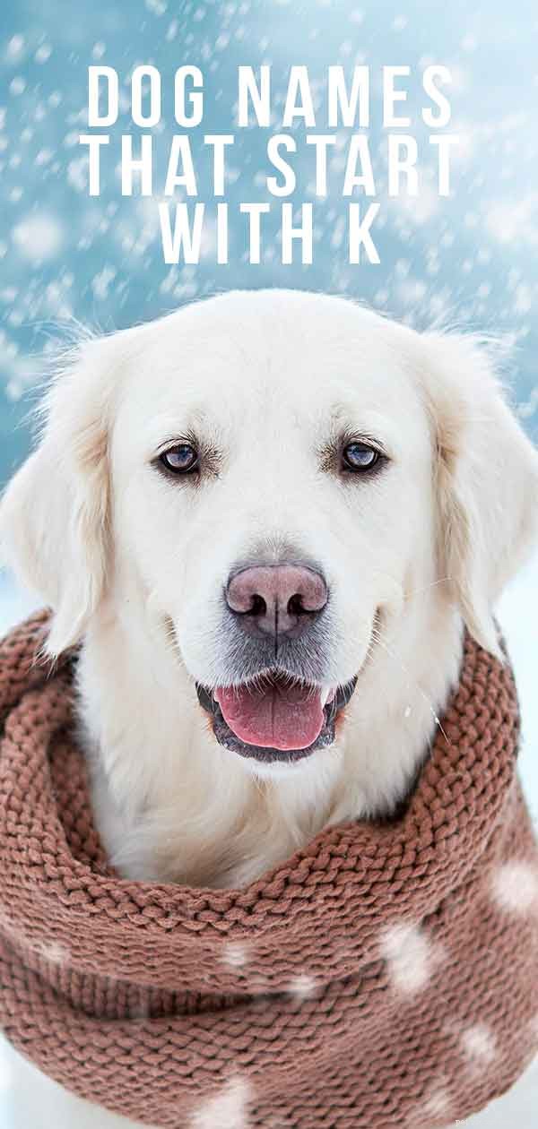 K-Word Dog Names: 50+ Creative & Classic Choices for Your New Pup