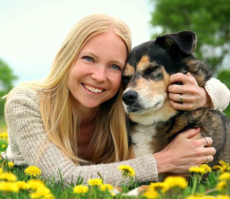 Shollie: The Ultimate Border Collie × German Shepherd Mix – Intelligent, Loyal, Athletic Family Guard