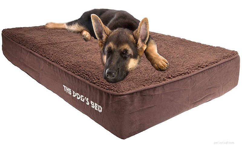 German Shepherd × Rottweiler Mix: Traits, Care & Adoption Guide