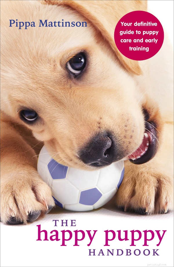 Irish Doodle: The Ultimate Guide to the Irish Setter-Poodle Mix