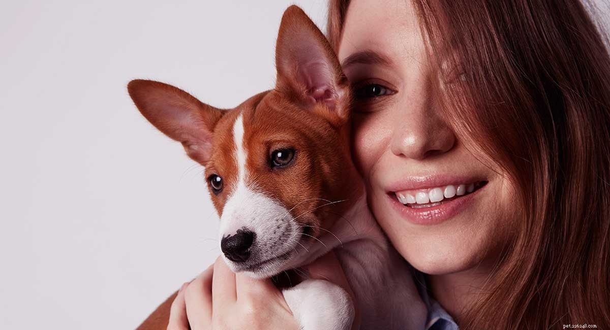 Explore Africa s Diverse Dog Breeds: From Desert Guardians to Rainforest Companions