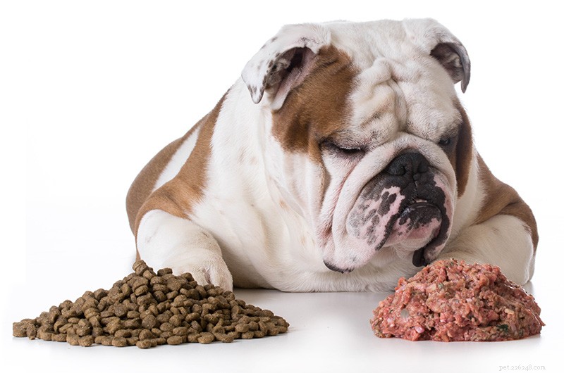 Do Pets Really Need Food Labeled  Complete and Balanced ? Expert Insights