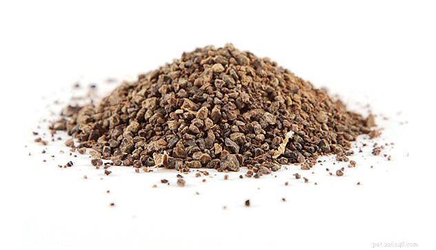 6 Proven Whole-Food Toppers to Boost Your Pet’s Health & Flavor