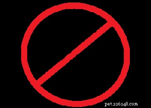 Why Avoid Corn, Wheat, and Soy in Your Pet’s Diet
