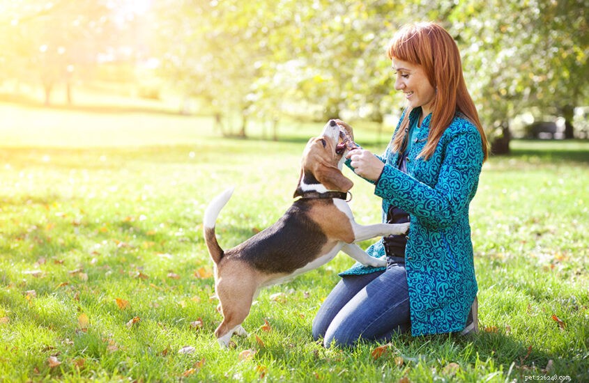 Dr. Martin Goldstein s Guide to Optimal Pet Nutrition