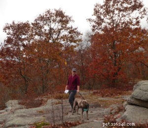 How to Calm a Fearful Rescue Dog and Build Trust at Home