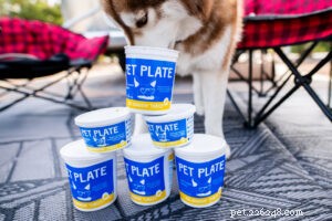 Cut Costs on Pet Supplies: 4 Exclusive Prime Sales You Can t Miss