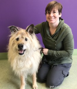 End Your Pet s Pain with Expert Animal Massage – A Practitioner s Journey