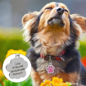 Moving with Pets: Stress-Free Strategies for You and Your Furry Friends