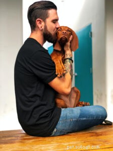 Moving with Pets: Stress-Free Strategies for You and Your Furry Friends