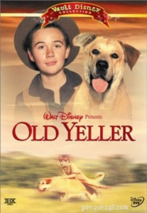 Top Pet-Centric Movies: Dogs, Cats, and More Drive the Story